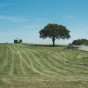 sp (12).jpg