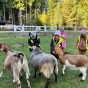 cb082add-3a84-473a-ad63-65b9e9e5af18.jpg