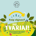 13pav.jpg