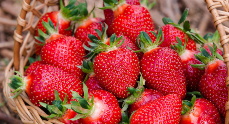 strawberries-6066ca586bef9.jpg