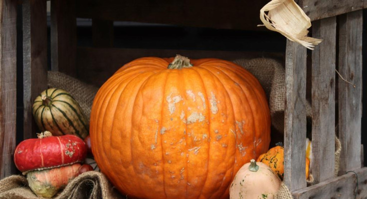 halloween-4501761-1920.jpg