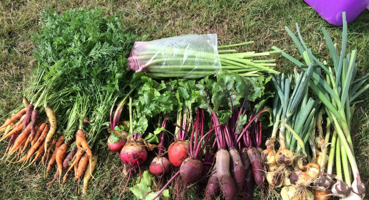 87891114-2536836446428045-3267034201609732096-o.jpg