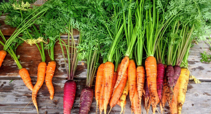 carrot-2743498-1920.jpg