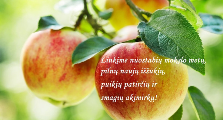 9b7b33d0-613f-11ed-ab80-03f580b40dc5-1-copy.jpg