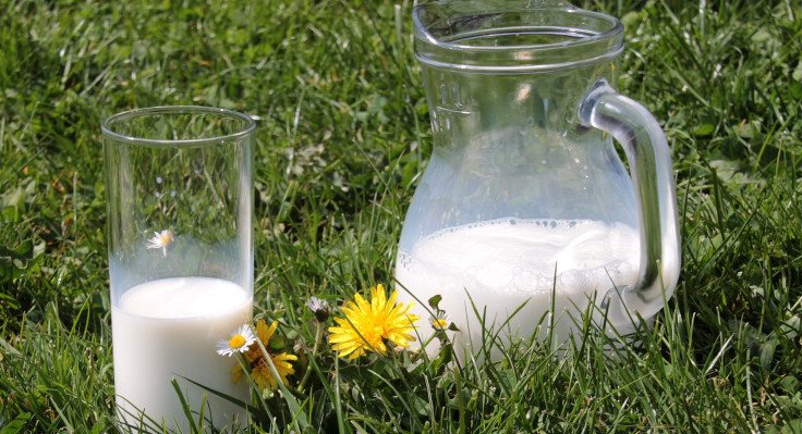 milk-1377564-1920.jpg